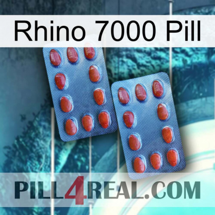 Rhino 7000 Pill 05